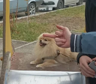 🖕 emoji Ричард писюлик❤️👅🤙🏿 Telegram sticker 16 of 25