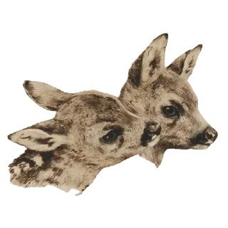 Sticker from aesthetic