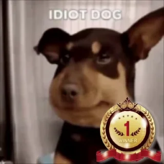 Sticker from Idiot dog