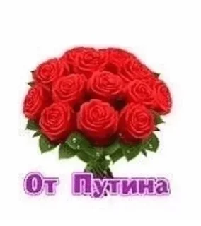 🌹 emoji Дисклеймер Telegram sticker 16 of 86