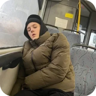 😴 emoji Лошашок Telegram sticker 5 of 91