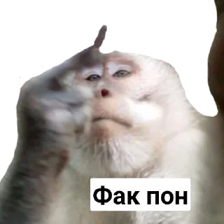 🖕 emoji Пак Абизянок от Илюши 1 Telegram sticker 15 of 29