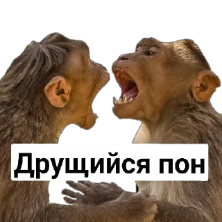🥊 emoji Пак Абизянок от Илюши 1 Telegram sticker 3 of 29