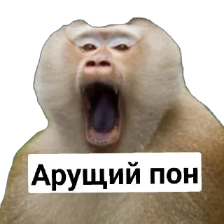 😱 emoji Пак Абизянок от Илюши 1 Telegram sticker 2 of 29