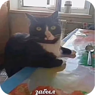 Sticker from аьаээь