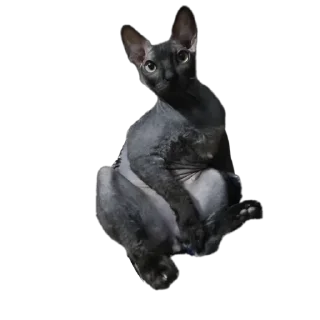 🤯 emoji Всеми любимый Саймон Telegram sticker 15 of 18