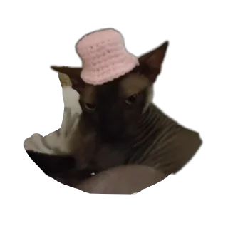 🌟 emoji Всеми любимый Саймон Telegram sticker 16 of 18