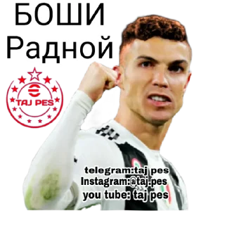 ✊ emoji Taj pes stickers Telegram sticker 19 of 53