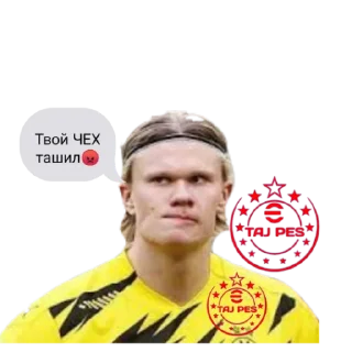 😡 emoji Taj pes stickers Telegram sticker 5 of 53