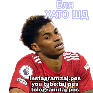 🤦 emoji Taj pes stickers Telegram sticker 22 of 53