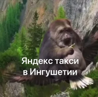 😒 emoji ГӀалгӀай пон бибизьӀянеж @galgamanky Telegram sticker 23 of 55