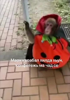 😱 emoji ГӀалгӀай пон бибизьӀянеж @galgamanky Telegram sticker 10 of 55