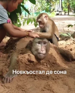 😅 emoji ГӀалгӀай пон бибизьӀянеж @galgamanky Telegram sticker 11 of 55