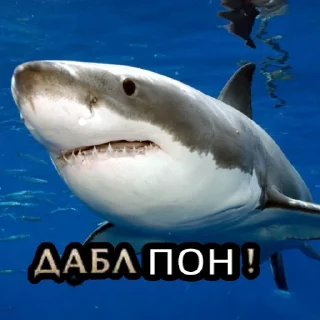 Sticker from Пон
