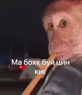 😅 emoji ГӀалгӀай пон бибизьӀянеж @galgamanky Telegram sticker 24 of 55