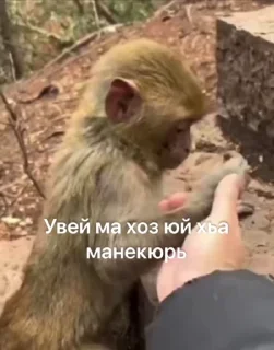 😔 emoji ГӀалгӀай пон бибизьӀянеж @galgamanky Telegram sticker 4 of 55