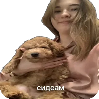 Sticker from Тимоха балбес