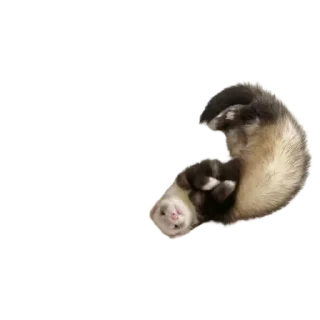 Sticker from Cute