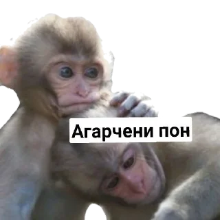😔 emoji Пак Абизянок от Илюши 1 Telegram sticker 11 of 29