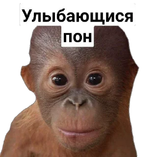🙂 emoji Пак Абизянок от Илюши 1 Telegram sticker 4 of 29