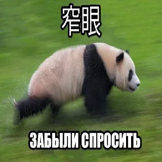 🐼 emoji Больше стиков тут: @stikery4 Telegram sticker 10 of 34