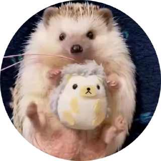 🌟 emoji Больше стикеров тут: @allstickers_tg Telegram sticker 11 of 50
