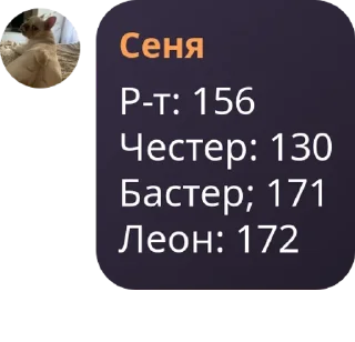 👨‍🔧 emoji Circus Chapito»flood pack by @QuotLyBot Telegram sticker 5 of 119