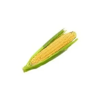 🌽 emoji лимон Telegram sticker 7 of 14
