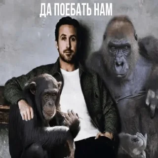 Sticker from Ryan gosling
