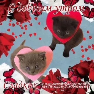 Sticker from Доброе утро (nvch)