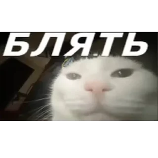 ❤ emoji В семье не без гандона Telegram sticker 7 of 71