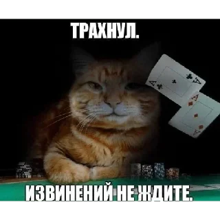 😇 emoji Больше стиков тут: @stikery4 Telegram sticker 4 of 16