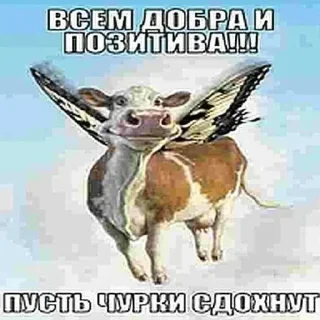 ☺️ emoji @sticksbb 🩷 <- канал со стиками Telegram sticker 16 of 47
