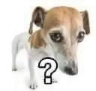 ❓ emoji @Ramakaa Telegram sticker 22 of 84