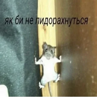 Sticker from для переговоров
