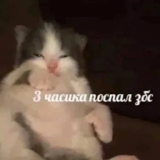 😌 emoji Данечка Telegram sticker 6 of 23