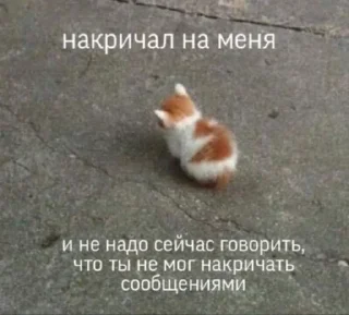 😢 emoji Данечка Telegram sticker 12 of 23