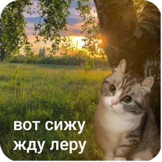 🐱 emoji данечка Telegram sticker 15 of 71