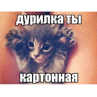 🐱 emoji Мямя Telegram sticker 16 of 26
