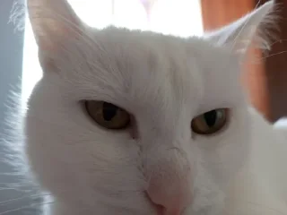 🤓 emoji эби🫨 Telegram sticker 23 of 37