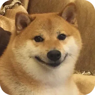 😐 emoji Memeland Telegram sticker 17 of 120