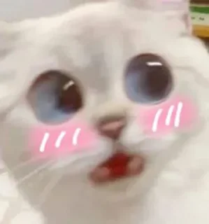 😳 emoji Кисëши^^ Telegram sticker 21 of 67