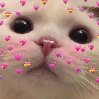 💗 emoji Кисëши^^ Telegram sticker 13 of 67