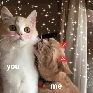 😘 emoji Кисëши^^ Telegram sticker 22 of 67