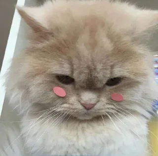 🤭 emoji Кисëши^^ Telegram sticker 17 of 67