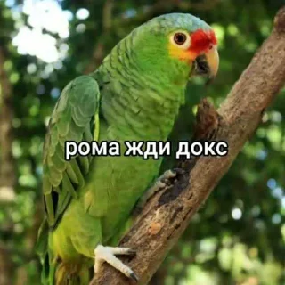 🥹 emoji кефир пидрилович ➡️ @Ctikerubot Telegram sticker 3 of 39