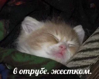 🥵 emoji 💕Стики тут: @sekstick Telegram sticker 8 of 23