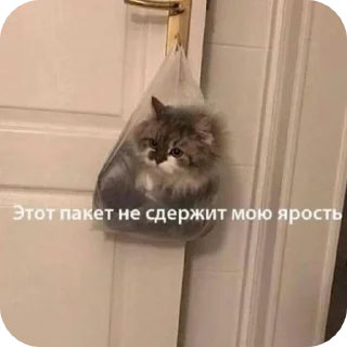 🌟 emoji Скибиди Telegram sticker 10 of 75