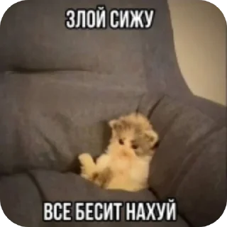 👍 emoji Скибиди Telegram sticker 21 of 75