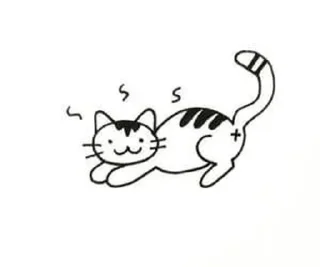 Sticker from Cats🌷